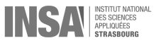 Logo_INSAStrasbourgDeveloppe-nb
