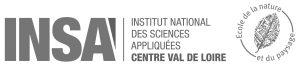 Logo_INSA_Val de Loire_ENP